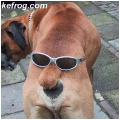[Klik for at se stort billede]
