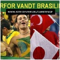[Klik for at se stort billede]